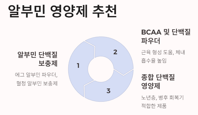 알부민 영양제 추천
