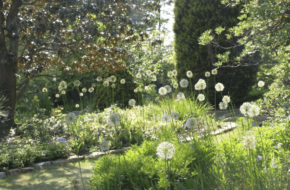 천리포 수목원 봄축제