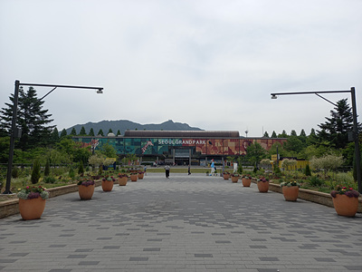 코끼리열차 타는 곳 사진