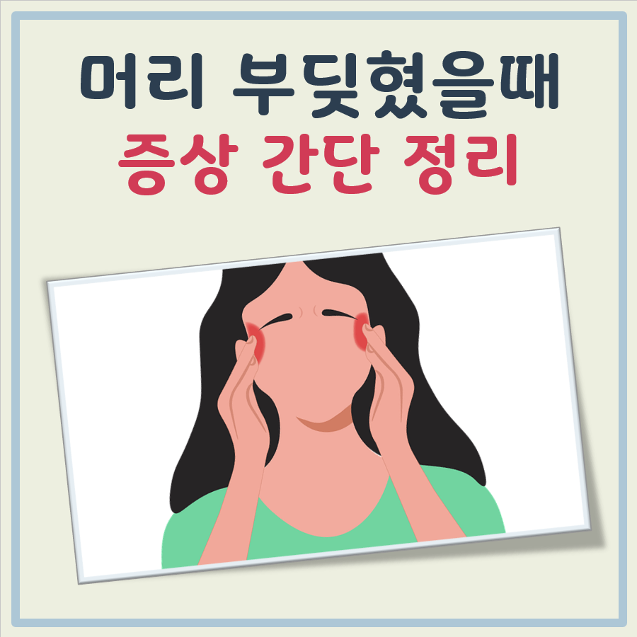 머리부딪혔을때 증상 대표 이미지