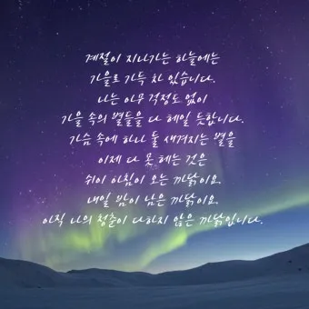 죽는 날까지 하늘을 우러러 한 점 부끄럼이 없기를 윤동주 시 세계_11
