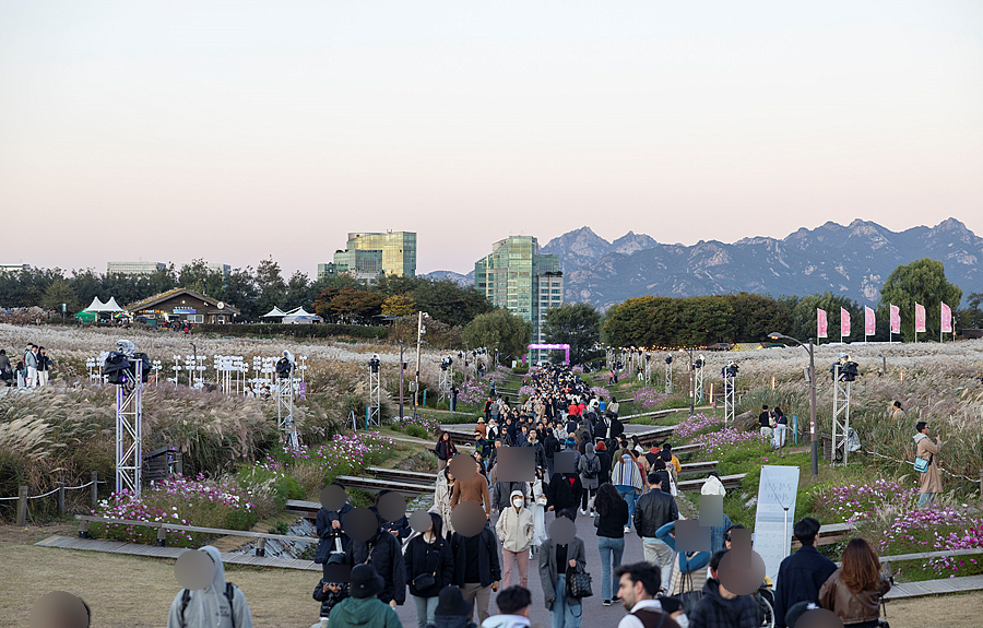 하늘공원 억새1