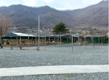 장미길테마캠핑장