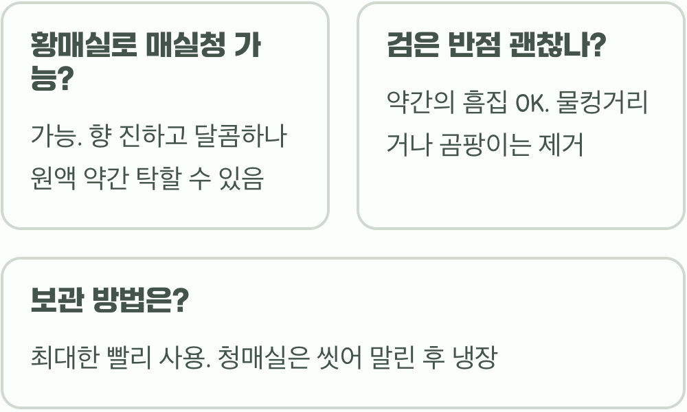 청매실 vs 황매실, 매실나무에서 언제 따야 가장 좋을까? (용도별 차이)