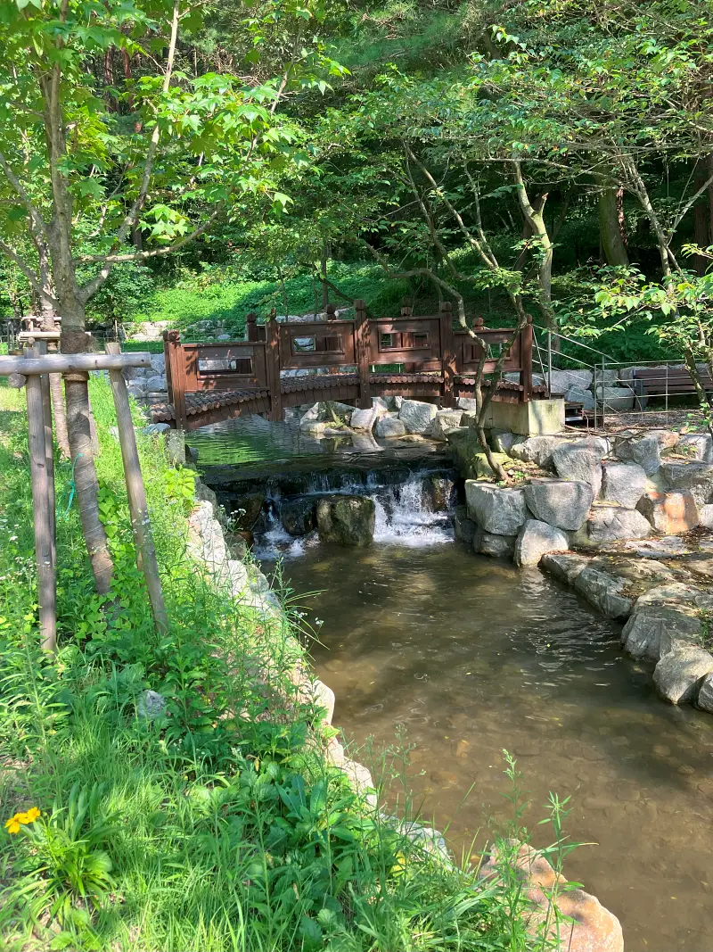 다리-밑으로-흐르는-계곡