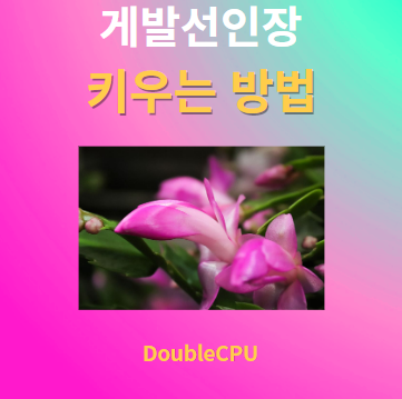 게발선인장 키우기 물주기