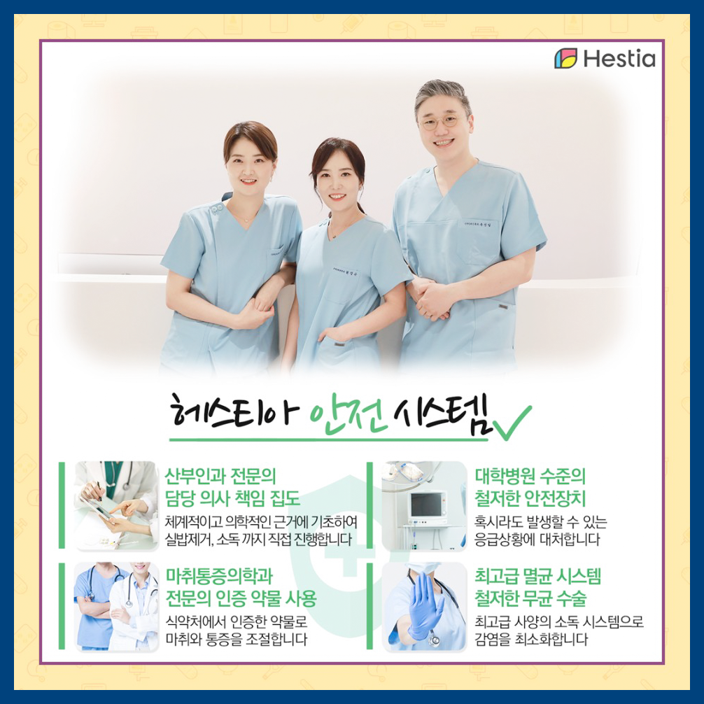 헤스티아 안전시스템