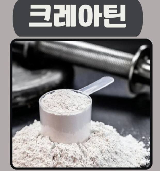 크레아틴과 BCAA, 둘의 차이점과 복합 섭취의 효과