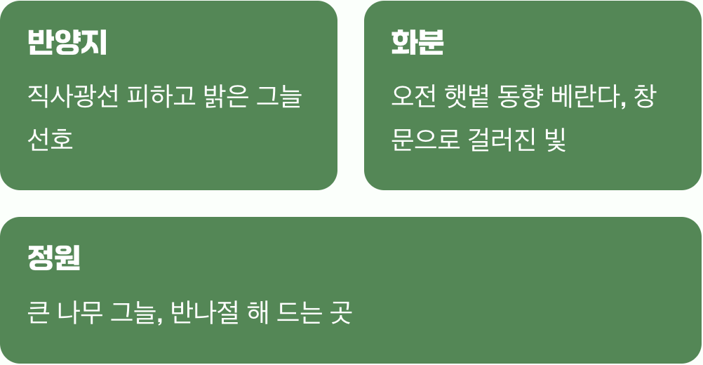 햇볕과 바람이 머무는 자리