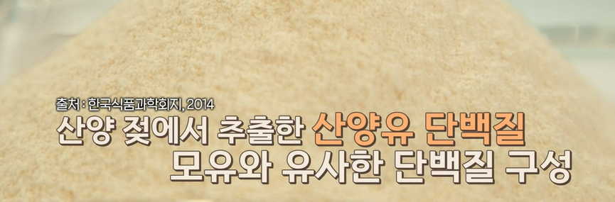 산양유 단백질