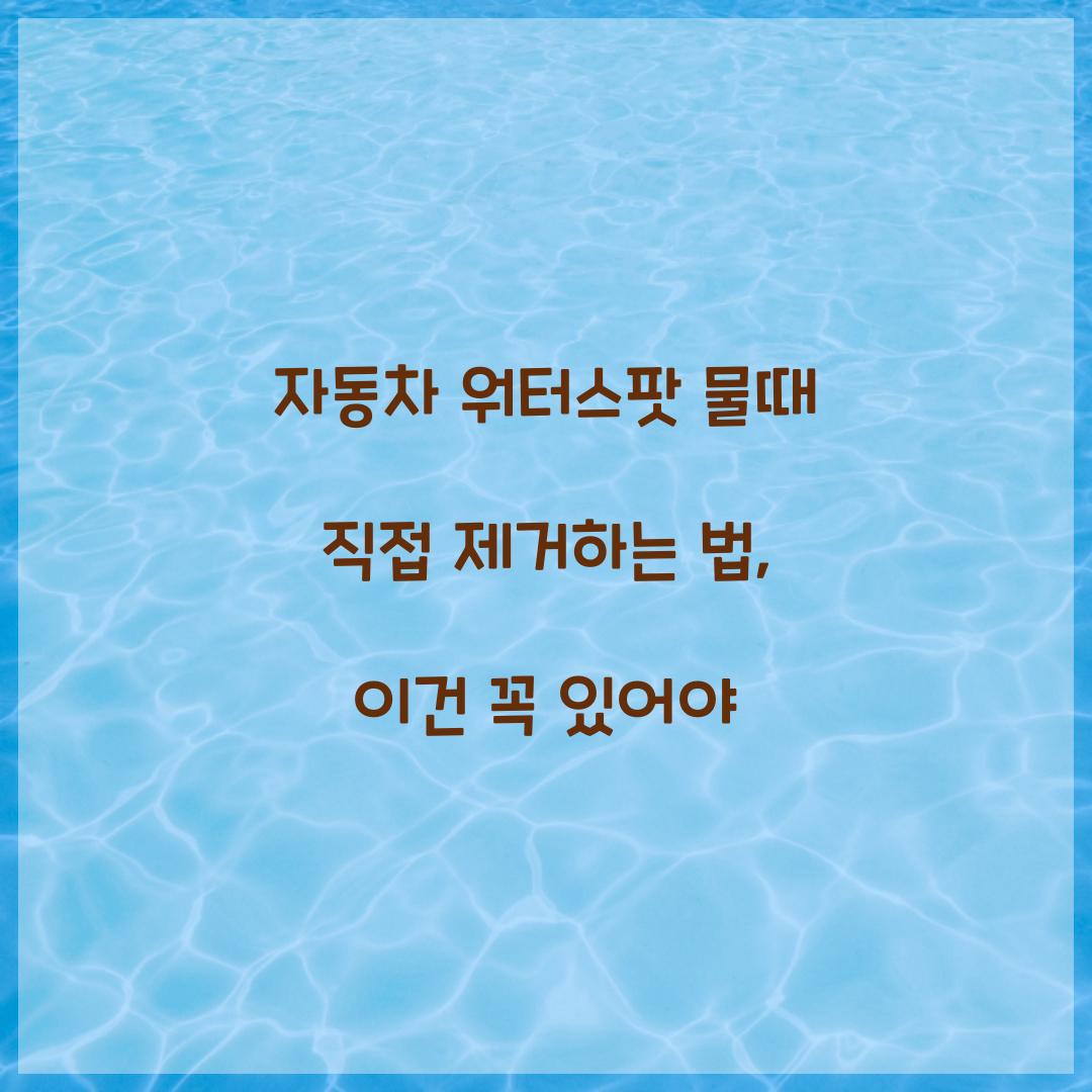 자동차 워터스팟 물때 직접 제거하는 법, 이건 꼭 있어야