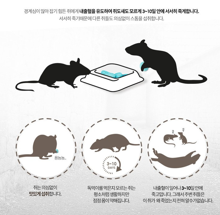 약국 쥐약 잡스 효과, 어떻게 될까? 고양이도 먹으면 죽는다던데