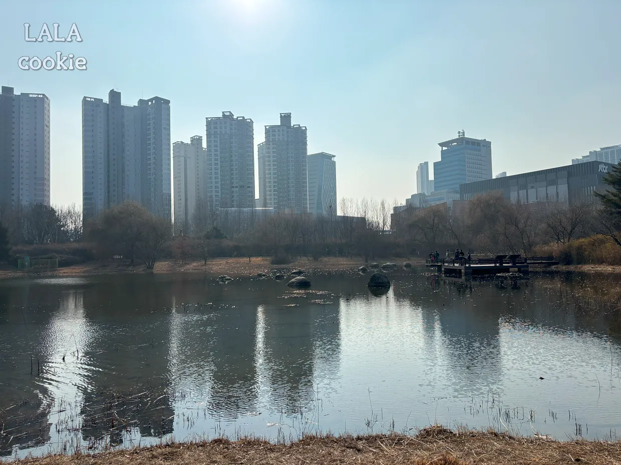 고양시-일산서구-가족나들이-추천-일산호수공원-평화로운-오후