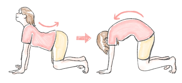 네발굽 스트레칭