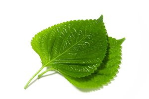 The Benefits of Wrapping Meat in Vegetables: Why You Should Enjoy BBQ with Greens.