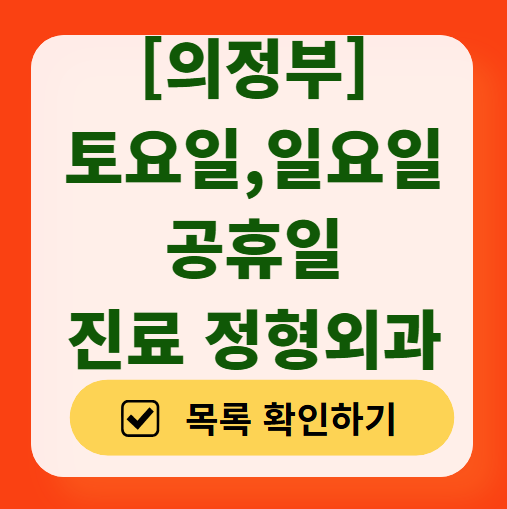 의정부 일요일 문 여는 정형외과 목록 ❘ 토요일, 주말, 공휴일 진료 영업 병원 리스트