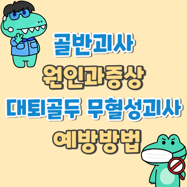 골반괴사/ 원인과증상/ 대퇴골두 무혈성괴사/ 예방방법