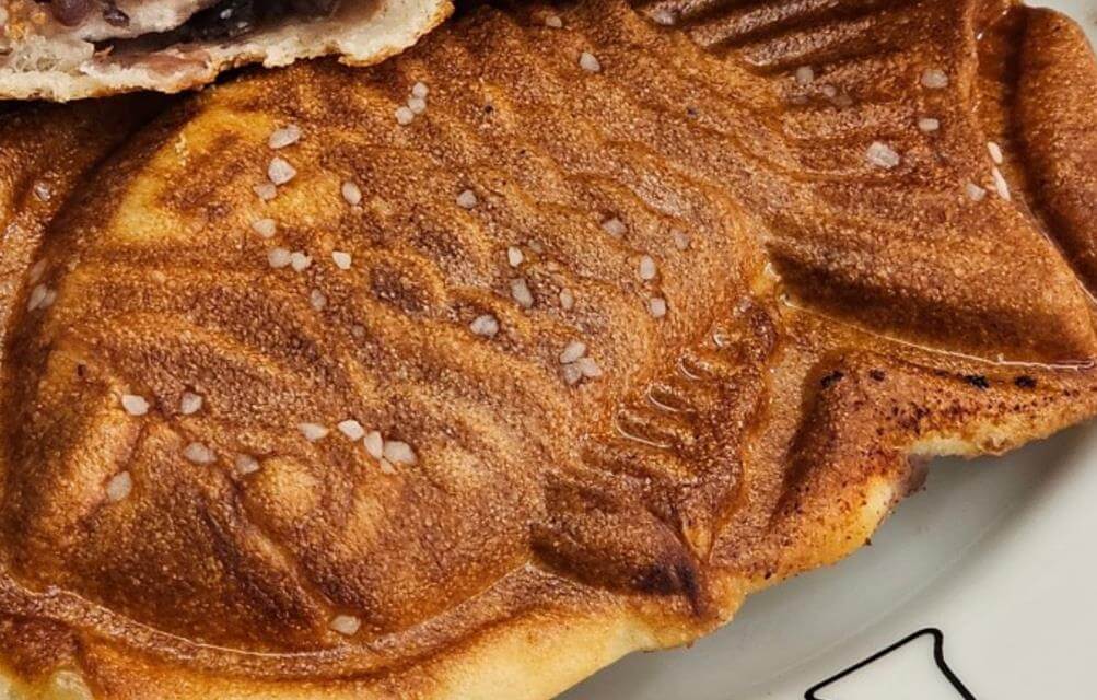 생방송오늘아침 소금빵 붕어빵