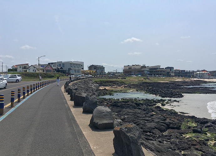 세화-자전거길12