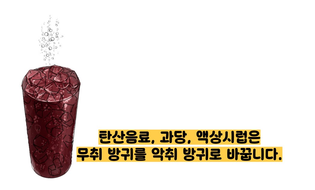 방귀 냄새가 심한 이유