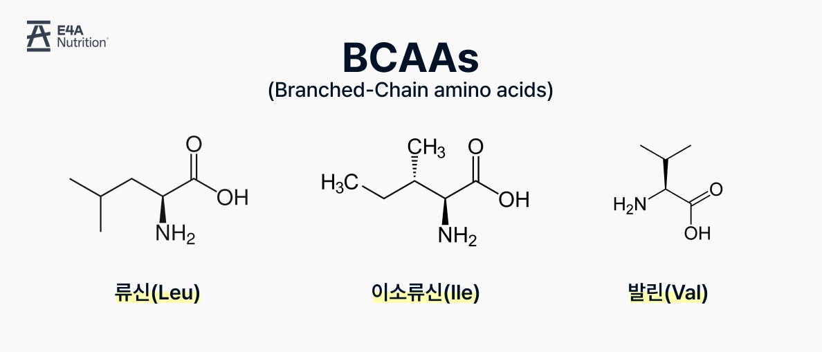 BCAA 분자식