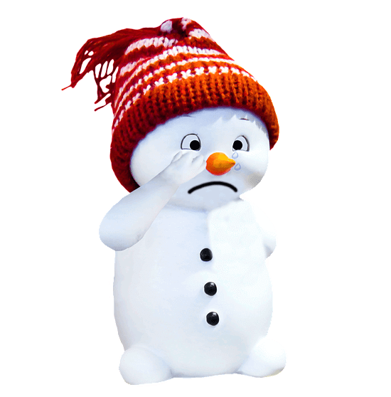 적갈색 털모자를 쓴 하얀 눈사람이 울고 있다. 코는 주황색 당근이다.
