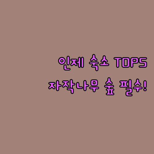 인제 가볼만한곳 숙소 TOP 5 자작..