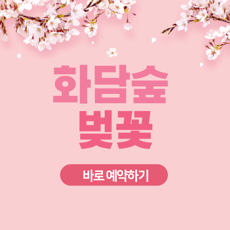 화담숲 벚꽃 바로 예약하기