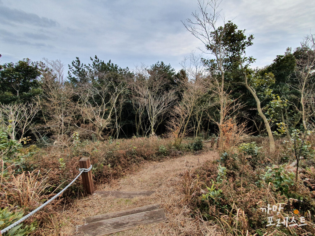 대왕산 정상 둘레길