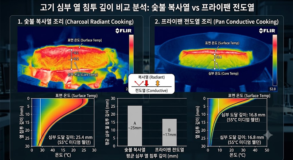 숯불 복사열과 프라이팬 전도열의 고기 심부 침투 깊이를 비교 측정한 단면 열화상 분석 데이터