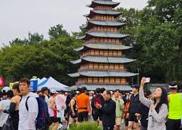 경주 벚꽃 마라톤 관련 사진