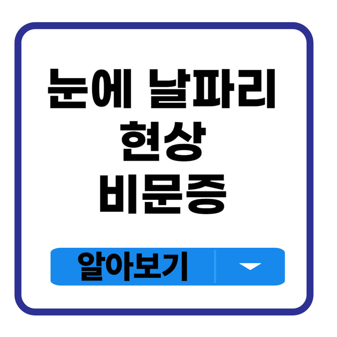 눈에 날파리 현상