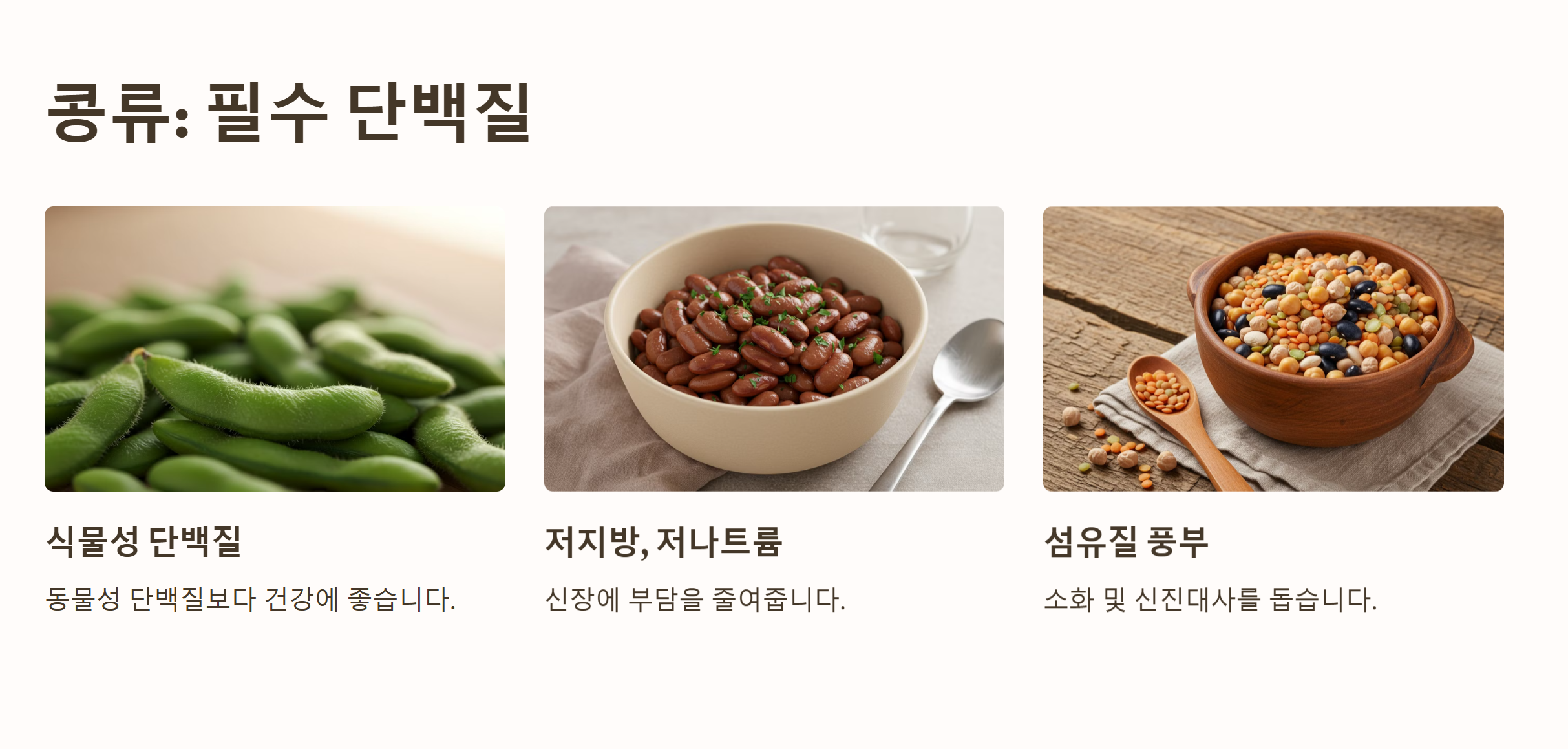 콩류 단백질