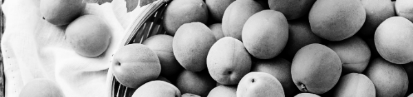 매실 수확시기, 매실 따는시기: 5월 초 ~ 5월 말