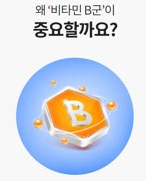 애터미 프로비타민