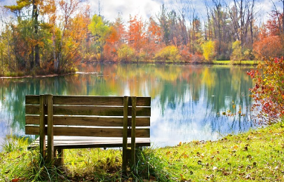 경기도 단풍 명소 곤지암 화담숲