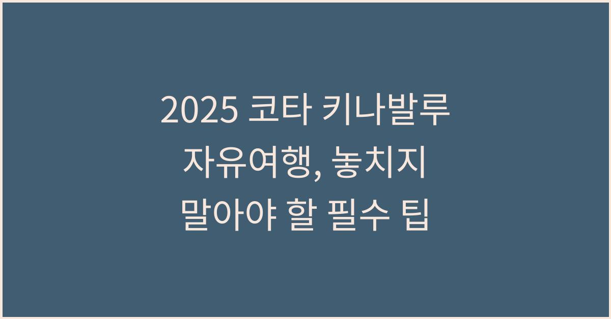 2025 코타 키나발루 자유여행
