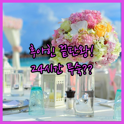 24시간 투숙부터 초대형 수영장까지 ..