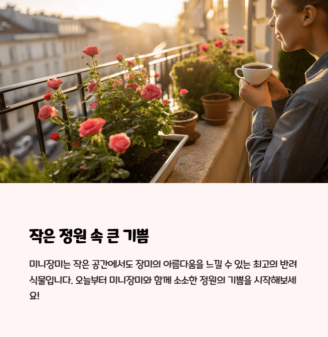 미니장미