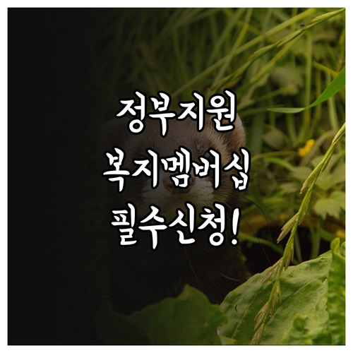 나만의 복지 비서 복지멤버십으로 받는..