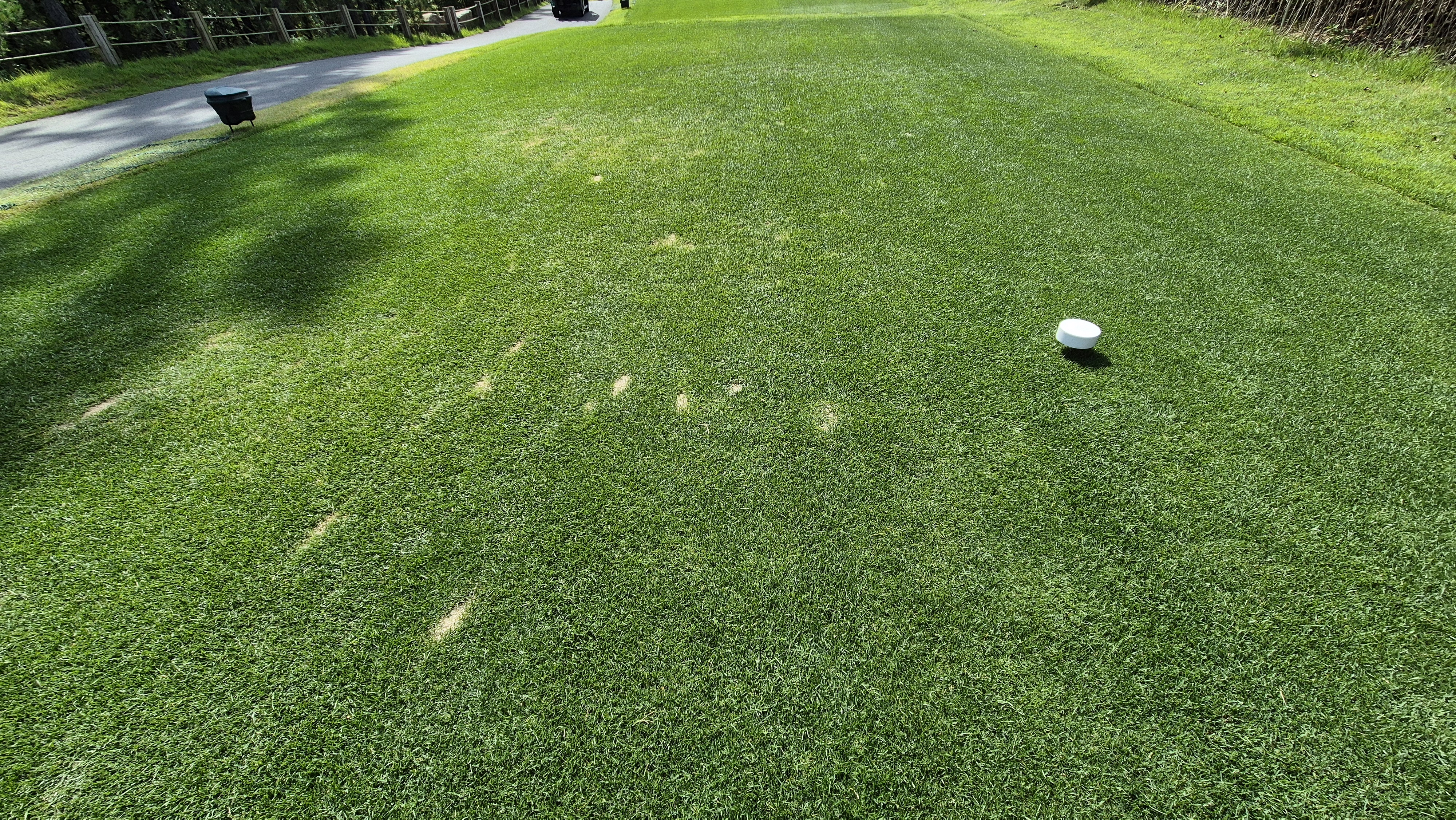 오로라cc 티잉구역 상태