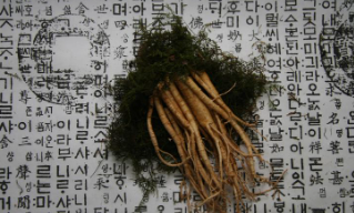 금산 삼계탕축제