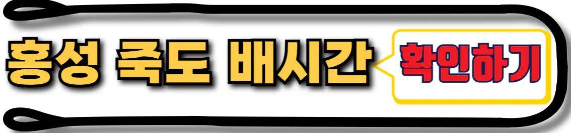 홍성 죽도 가는길 배시간표