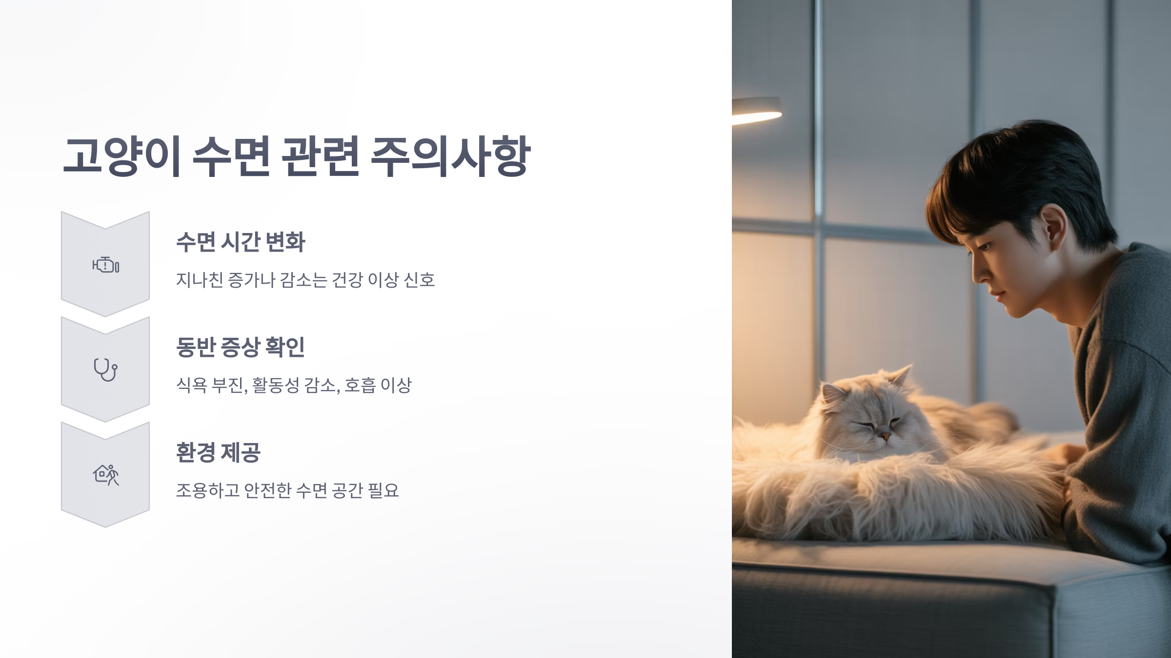 참조-고양이-수면시간-5