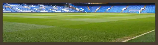 축구 국가대표 일정 명단 (월드컵 11월 3차 예선 경기)