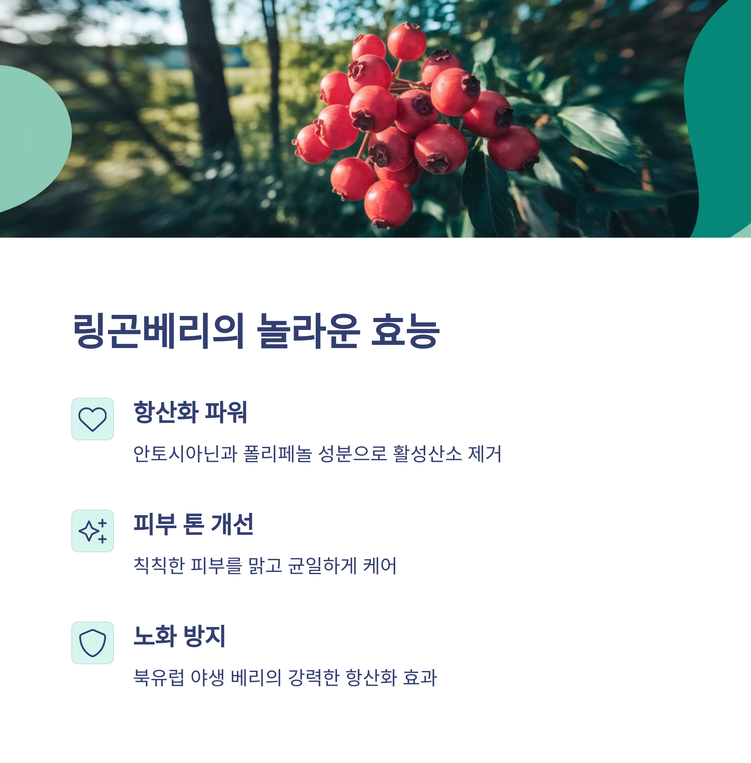 여에스더 링곤베리 화이트 스틱 자연 유래 항산화 미백