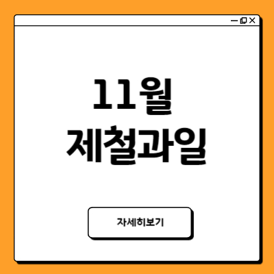 11월 제철과일 가지