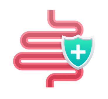 면역력 높이는 음식