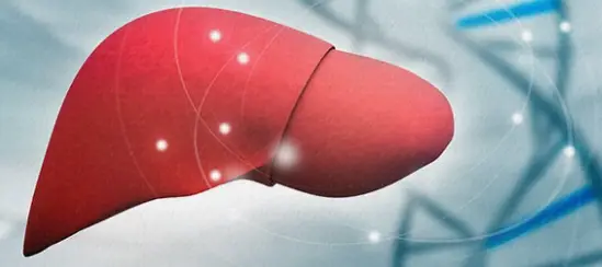 감마지티피-수치-간건강-지표