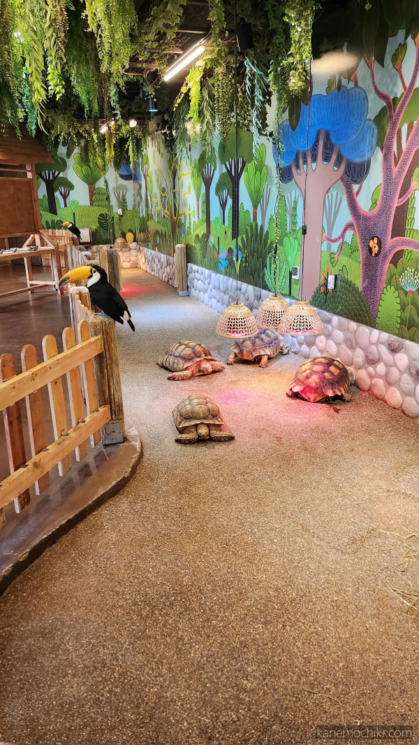 주렁주렁-거북이